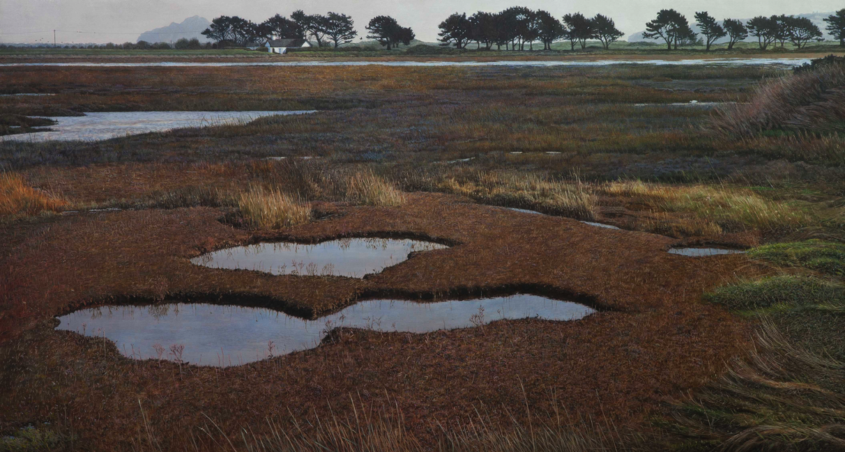 egg tempera painting of tidal marsh and Monterey pines exhibited RHA Royal Hibernian Academy